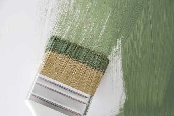 Mold Odor Removal Services in Warren, MI