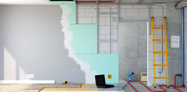 Best Mold Odor Removal Services  in Warren, MI