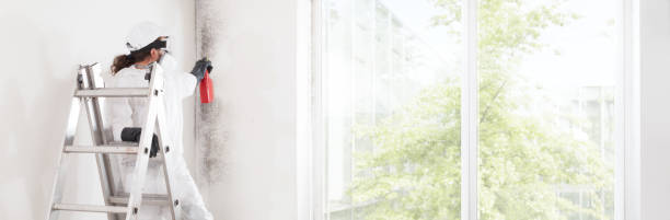 Best Mold-Related Health Consultation  in Warren, MI